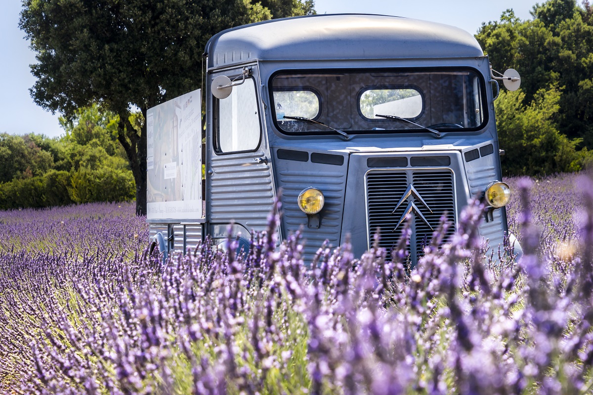 Avignon & Parc Spirou