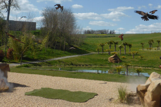 Zoo de Beauval & Châteaux de la Loire