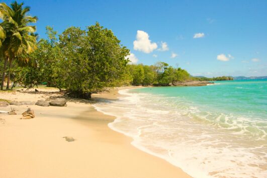 Martinique