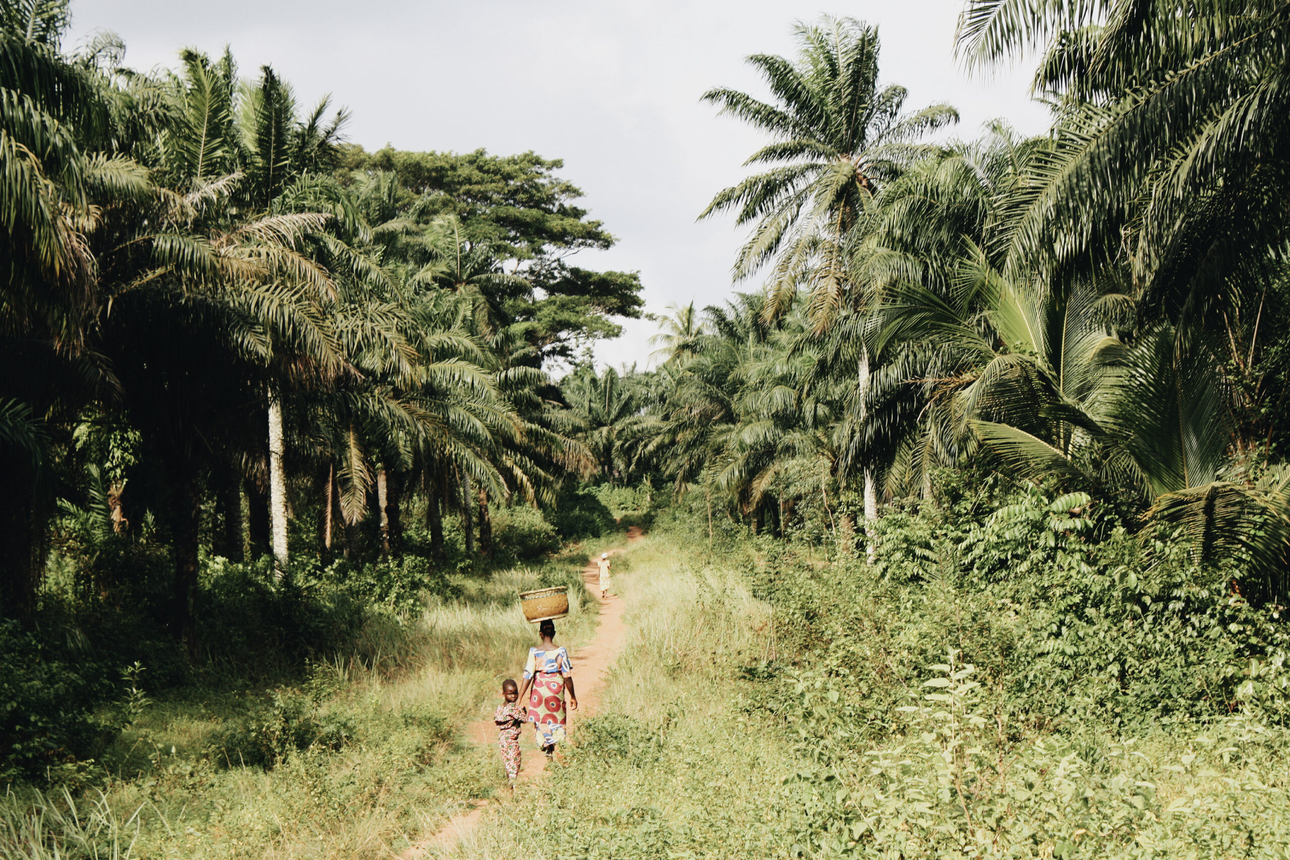 Bénin [en immersion]