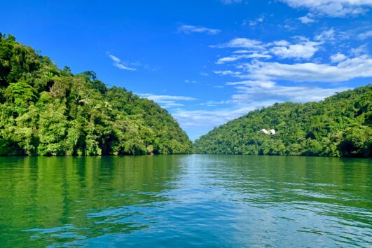 Guatemala [En Immersion]